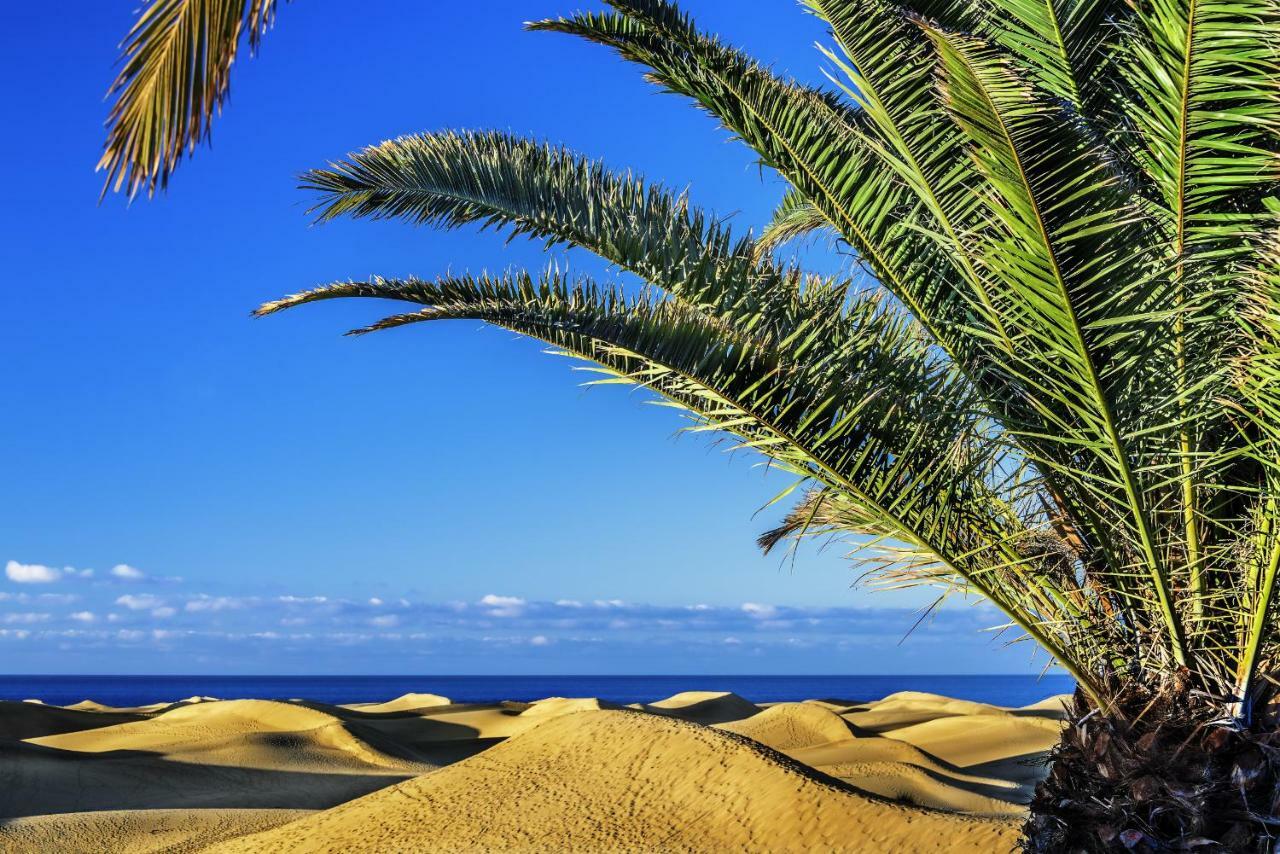 Las Adelfas South Beach 1 By Canariasgetaway San Agustín Zewnętrze zdjęcie